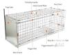 57-Inch Timaze Large Humane Live Animal Trap Cage, Collapsible, Galvanized Steel, 55 lb Capacity - 3