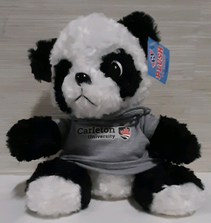 New Carleton University Teddy Bear wearing a Gray Hoodie