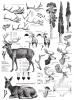 New Prima Re-Design DEER Decor Transfers 23.1" &times; 33.3", Works On Various Surfaces: Wall, Furniture, Wood, Mirror, Glass - 2