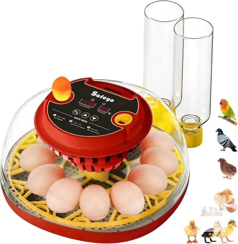 Safego M12H Egg Incubator, 12-Egg Capacity, Automatic Turning, Digital Display, 360&deg; Viewing