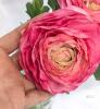 New 7pc Avoeco Realistic Artificial Pink Ranunculus Real Touch Peonies Fake Ranunculus Stems for DIY Wedding Bouquet Party Table Home Decor 18" Long - 3
