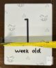 Baby Milestone Cards & Baby Shower Game Set &ndash; Approx. 16 Cards, Includes "Oh Baby" Game & Glittered Banner - 4