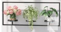 New - Wall Planters for Indoor Plants, Plant Frames Wall Decor Living Room Plant Stand Hanging Wall Plants Holder to Hold Large Pots Wall Plant Hanger Window Plant Shelves for Outdoor Entryway