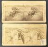 RARE! 1900 Antique C. Eckenrath Berlin Germany Stereoscope 3D Viewer With Slides Showing South African Soldiers & War, Tourist Locations & Zoo Animals - 9