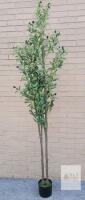 New Double-Branch Faux Black Olive Tree w/Pot . Measures 7ft. Tall