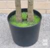 New Double-Branch Faux Black Olive Tree w/Pot . Measures 7ft. Tall - 3