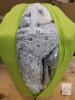 New N&V 1.25" Thick Baby Play Mat with Non-Slip Backing , Vacuum Sealed - Grey . 78"&times;95" - 3