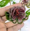 Antique Early 1920s Handmade Glass Beaded Flowers, 4 String-Wrapped Stems - 2