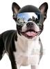 New Small-Size Dog Motorcycle Helmet With Mirrored Visor, Padded Inside, Ear Holes & Chin Strap