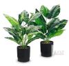 new DerRose Artificial Potted Plants, 2 Pack, 16-Inch Tall, Decorative Green Foliage, Black Pots