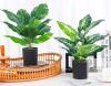 new DerRose Artificial Potted Plants, 2 Pack, 16-Inch Tall, Decorative Green Foliage, Black Pots - 2