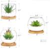 Mkono Artificial Succulent Terrarium Set - 3 Glass Bowls, Bamboo Trays, Decorative Stones, Tabletop D&eacute;cor new - 2