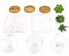 Mkono Artificial Succulent Terrarium Set - 3 Glass Bowls, Bamboo Trays, Decorative Stones, Tabletop D&eacute;cor new - 3