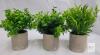 Set of 3 Artificial Potted Plants &ndash; Concrete Pots, Mixed Faux Greenery, 6&ndash;9" Tall, Indoor Decor