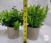 Set of 3 Artificial Potted Plants &ndash; Concrete Pots, Mixed Faux Greenery, 6&ndash;9" Tall, Indoor Decor - 3