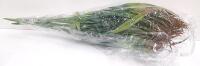 Artificial Grass Foliage Bundle, 36 Leaves per Stem, 15.7" Length, Green with Brownish Tips