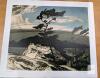 Print of AJ Casson's White Pine NAC 94/1750 With COA 24"by 20" [Group of Seven]