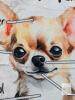 New Anatomy of a Chihuahua Super Soft Minky Flannel Blanket, 29" &times; 40" - 2
