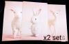 [ Vendor Special ] 21 New Stretched Canvas Prints, Individual & Sets of 2/3 : 15.75" &times; 23.5" - 23.5" &times; 19.75" - 2