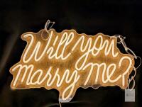 Will You Marry Me Neon Signs for Wall Decor Warm White LED Light Sign for Room Decor Light Up Sign for Birthday Party Wedding Decoration USB Powered (21.75" &times; 13.75" High)
