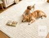 new Cream 8x10 FT OEKO-TEX Washable Area Rug, Non-Slip, Soft Polyester, Modern Tufted Pattern, VSIWB - 3