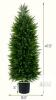 47.5" Artificial Cedar Topiary Tree with Natural Vines and UV-Resistant PE Leaves - 2