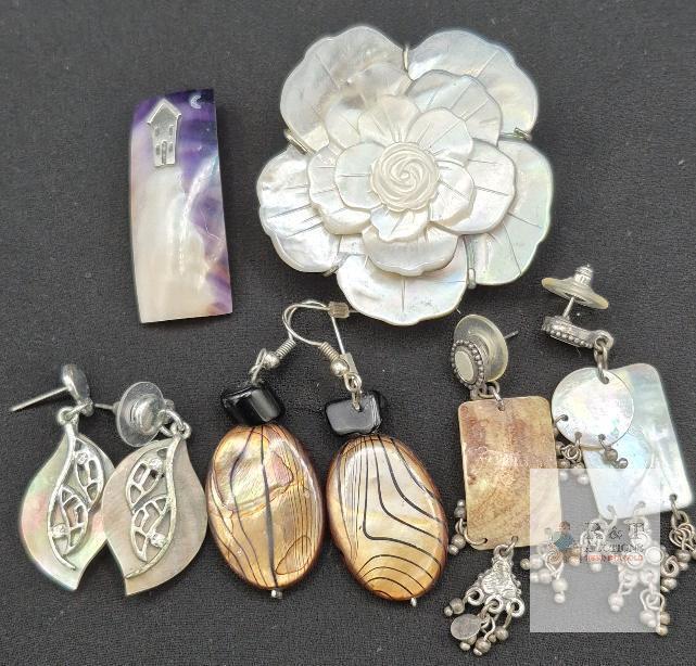 Beautiful Earrings & Brooches Shimmery (Shell?)