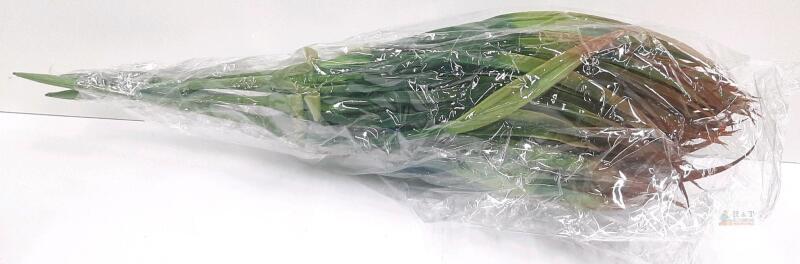 Artificial Grass Foliage Bundle, 36 Leaves per Stem, 15.7" Length, Green with Brownish Tips