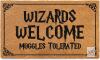 Wizards Welcome Tolerated Door Mat 30x17 Inch, Wizarding Doormat for Covered Outdoor Area, Wizarding Geeky Welcome Mat Outdoor Decor, Funny Nerd Gift, Geek Decor