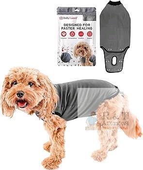 New Size MED Dog BellyGuard Dog Surgery Suit for Male and Female, Onesie for Dogs After Surgery, Spay or Neuter Recovery Suit for Post-Op Care