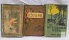 Victorian & Edwardian Antique Books and Autograph Albums, Ornate Gilt Bindings, 1882&ndash;1929 Entries - 2