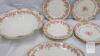 Antique Charles Field Haviland Limoges Porcelain Dinnerware Set, Schleiger 1073A Pattern - 2