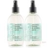 Soak Flatter Wild Mint Starch-Free Ironing & Smoothing Spray, 8.4 fl. oz. (248 mL), Set of 2