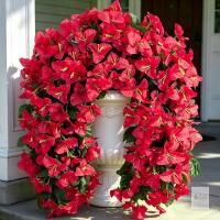 Fake Bougainvillea Artificial Hanging Flowers, 2 PCS Outdoor Faux Plants UV Resistant Realistic Silk Long Trailing Vines