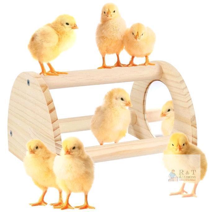 New Pine Chicken Perch with Mirror, Strong Chick Jungle Gym Roosting Bar, Chicken Toys for Coop and Brooder, Training Perch Toys for Large Bird, Parrot, Macaw, Hens (Small) . Chick's not included
