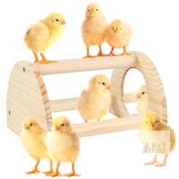 New Pine Chicken Perch with Mirror, Strong Chick Jungle Gym Roosting Bar, Chicken Toys for Coop and Brooder, Training Perch Toys for Large Bird, Parrot, Macaw, Hens (Small) . Chick's not included