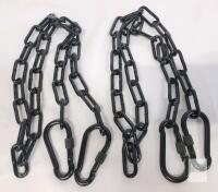 Steel Chains with Locking Carabiners, 46" Length, 330 lbs Capacity