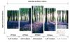 NEW Pyradecor FCA-AH5015 5-Piece Canvas Wall Art Set &ndash; Early Morning Forest Scene - 2