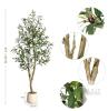 NEW Artificial Olive Tree 5ft Tall with Pot and Faux Black Olives, Indoor Decorative Plant - 2