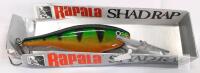 Rapala Shad Rap SR09 P Perch, Floating 3-1/2" Balsa Wood Crankbait, 3/8oz, 2 Treble Hooks