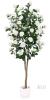 NEW Artificial Camellia Tree, 5 ft Tall, White Flowers, Silk/Plastic, 10 in Pot, Indoor D&eacute;cor