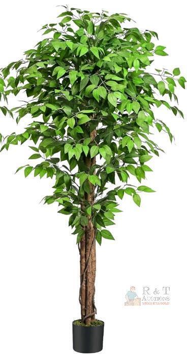 Keeplush 6.2ft Artificial Ficus Tree, 3 Natural Trunks, 72" Height, Pot Included, X003K5A7XD