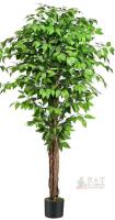 Keeplush 6.2ft Artificial Ficus Tree, 3 Natural Trunks, 72" Height, Pot Included, X003K5A7XD