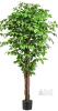 Keeplush 6.2ft Artificial Ficus Tree, 3 Natural Trunks, 72" Height, Pot Included, X003K5A7XD