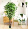 Keeplush 6.2ft Artificial Ficus Tree, 3 Natural Trunks, 72" Height, Pot Included, X003K5A7XD - 2