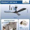 NEW BvenuBigLite WS-FPZ180-18B 52"/60" 3-Blade Ceiling Fan, Black, DC Motor, Remote/App Control - 2