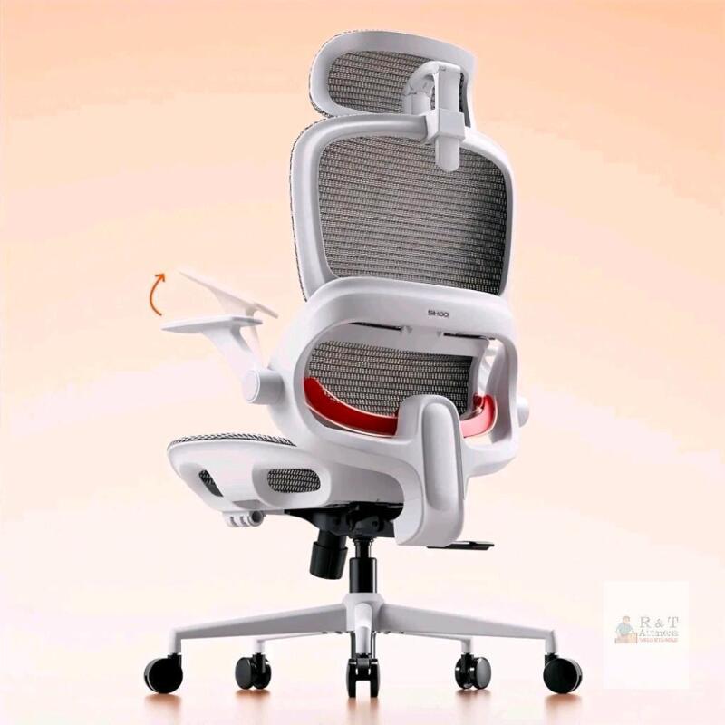 SIHOO B100-Lite-M102 Ergonomic Office Chair with Adjustable Headrest and Armrests