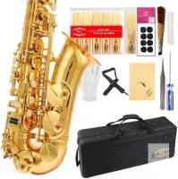 NEW Retails $329 Glory Professional Alto Eb SAX Saxophone Gold Laquer Finish, Alto Saxophone with 11reeds,8 Pads Cushions,case,carekit,Gold Color, NO NEED TUNING, PLAY DIRECTLY