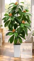5ft Artificial Potted Loquat Tree, Silk Leaves, White Planter, Indoor Decorative Fruit Plant