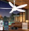 Phylluz 42" IP65 Outdoor Ceiling Fan White, LED Light, Remote/App, DC Motor, GLX131W-42D-CA